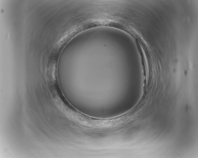 X0000056000023200508191335