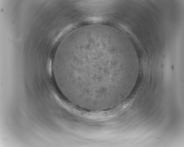 X0000056000024200508191335