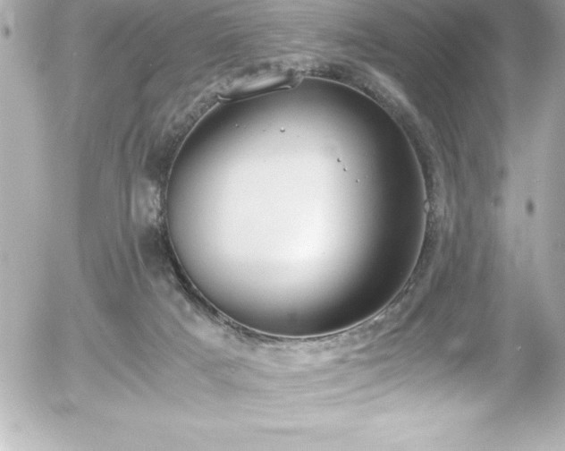 X0000056000025200508191335