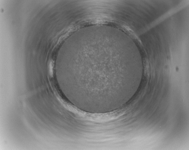 X0000056000026200508191335