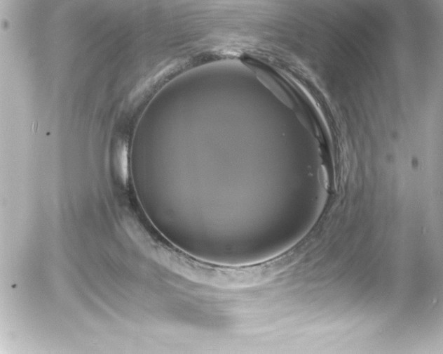 X0000056000027200508191335