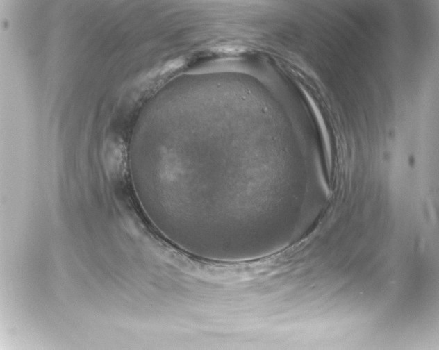 X0000056000029200508191335