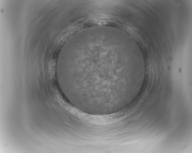 X0000056000030200508191335