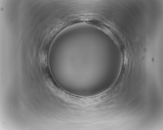 X0000056000031200508191335