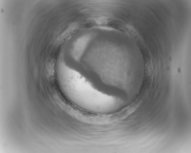 X0000056000032200508191335