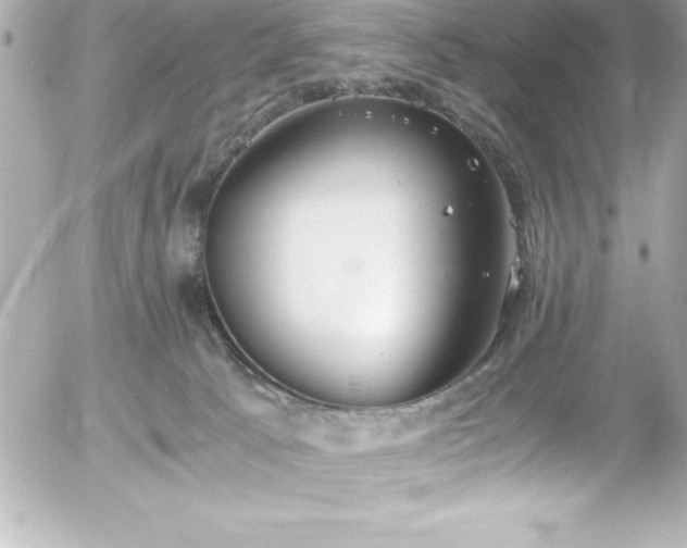 X0000056000033200508191335