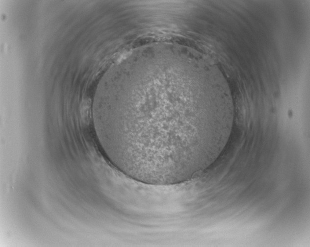 X0000056000034200508191335