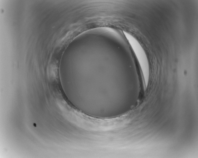 X0000056000035200508191335