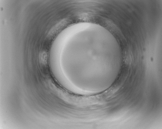 X0000056000036200508191335