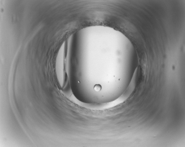 X0000056000037200508191335