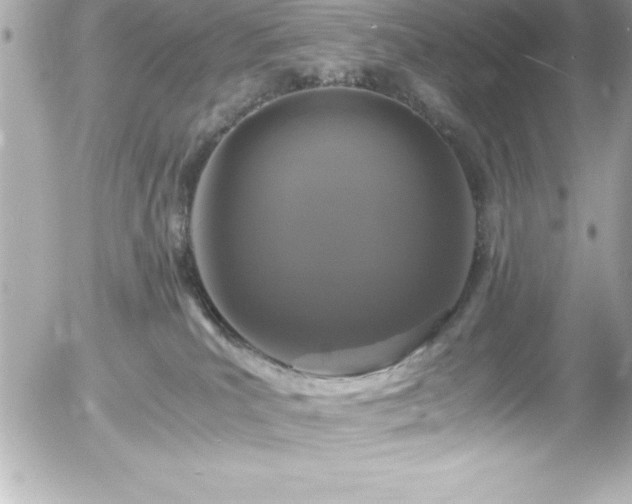 X0000056000039200508191335