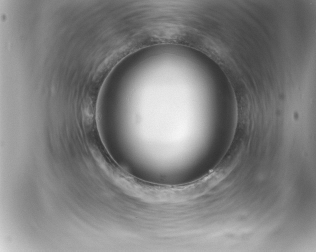 X0000056000040200508191335