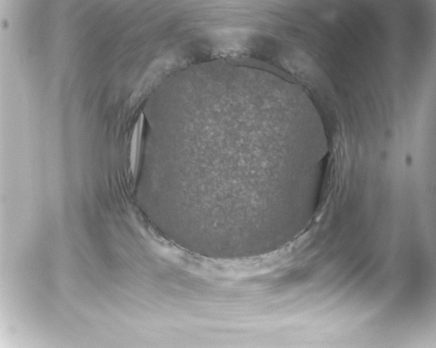 X0000056000041200508191335