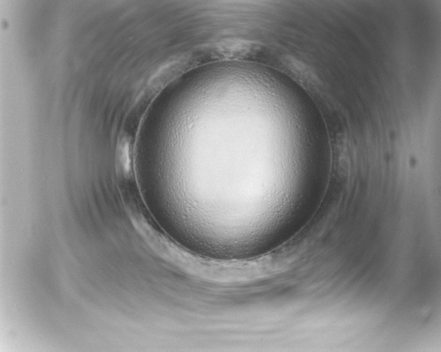 X0000056000042200508191335