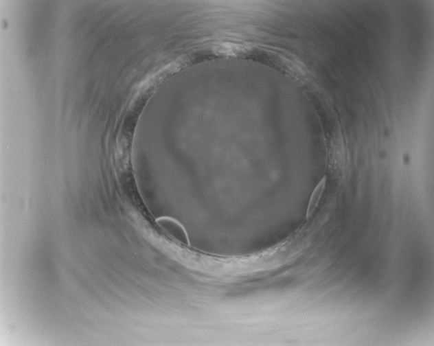 X0000056000043200508191335