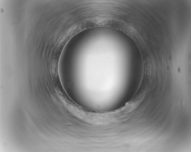 X0000056000044200508191335