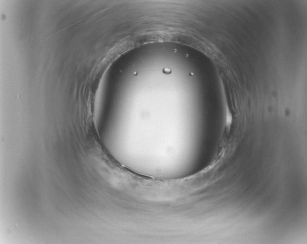 X0000056000045200508191335