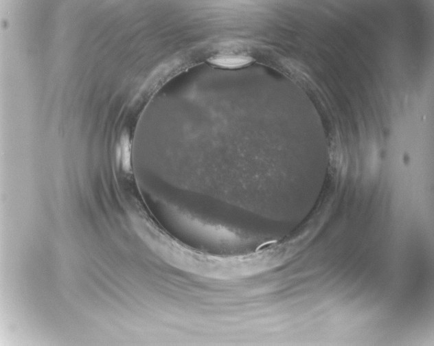 X0000056000046200508191335