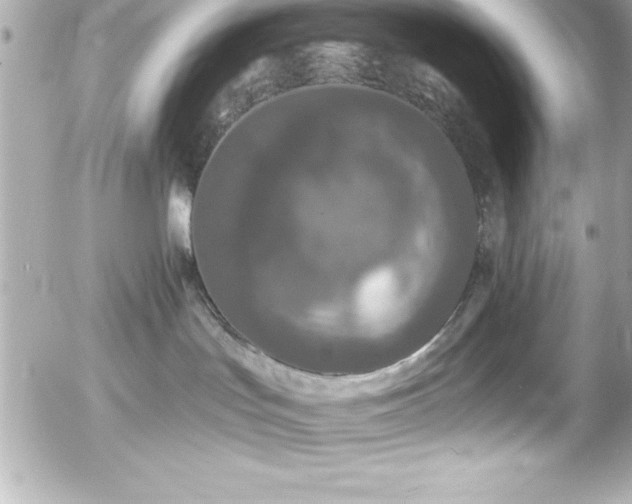 X0000056000047200508191335