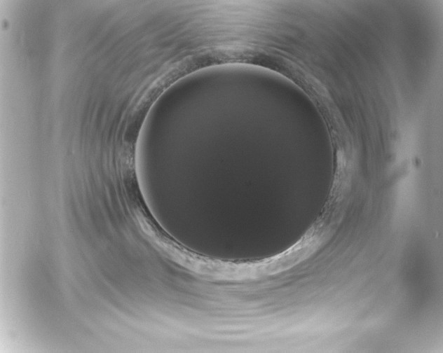 X0000056000048200508191335