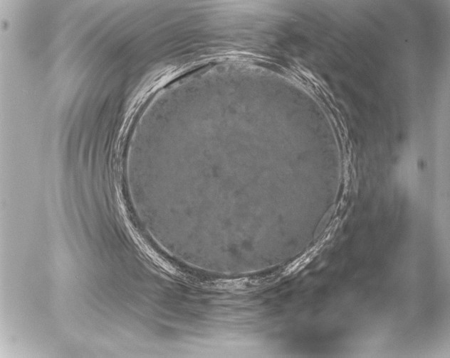 X0000056000049200508191334