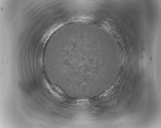 X0000056000050200508191334