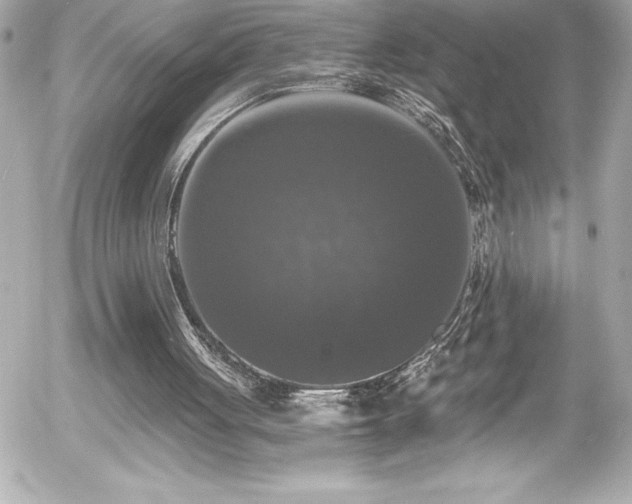 X0000056000051200508191334