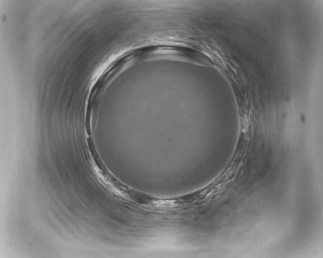 X0000056000052200508191334