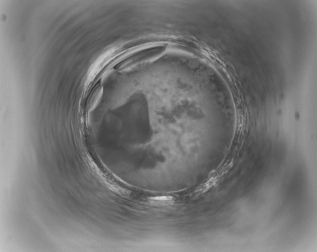 X0000056000053200508191334