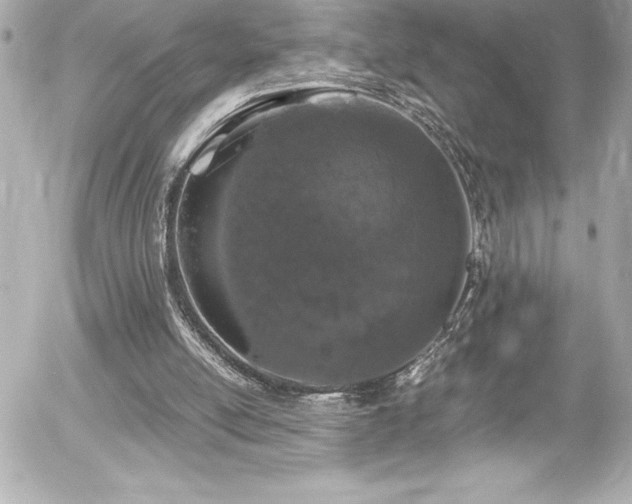 X0000056000054200508191334