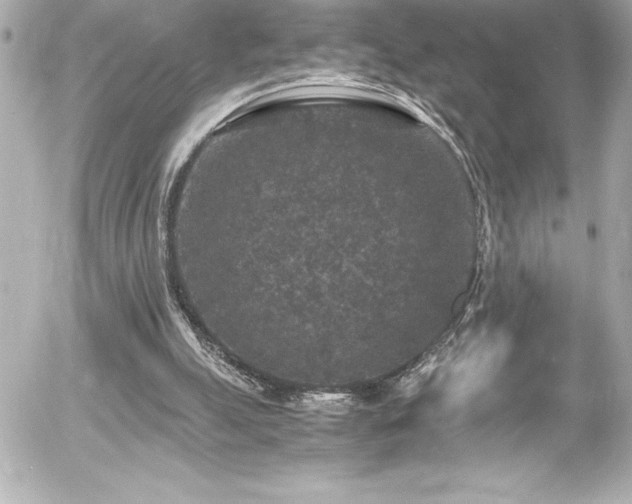 X0000056000055200508191334