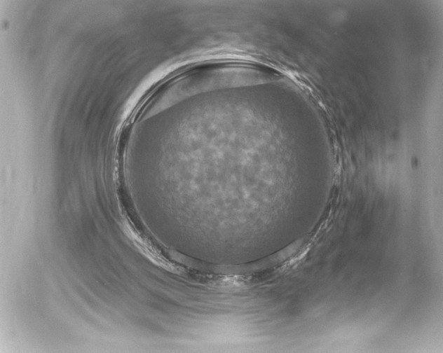 X0000056000056200508191334