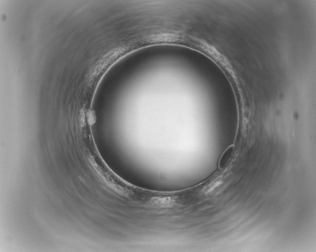 X0000056000057200508191334