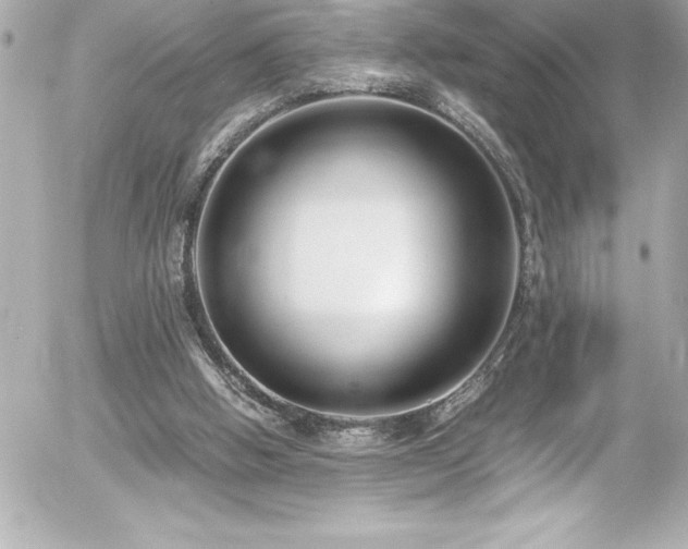 X0000056000058200508191334