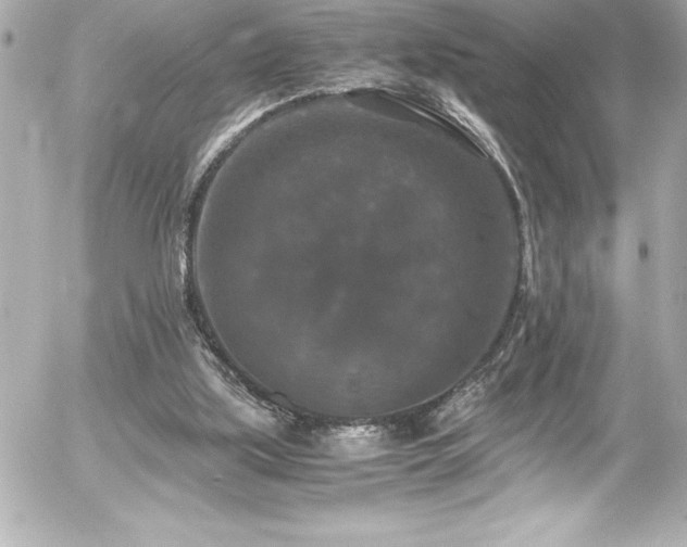 X0000056000059200508191334