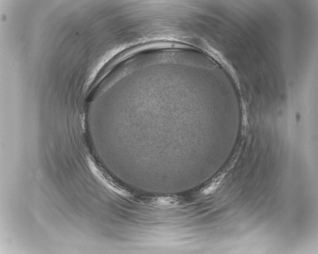 X0000056000060200508191334