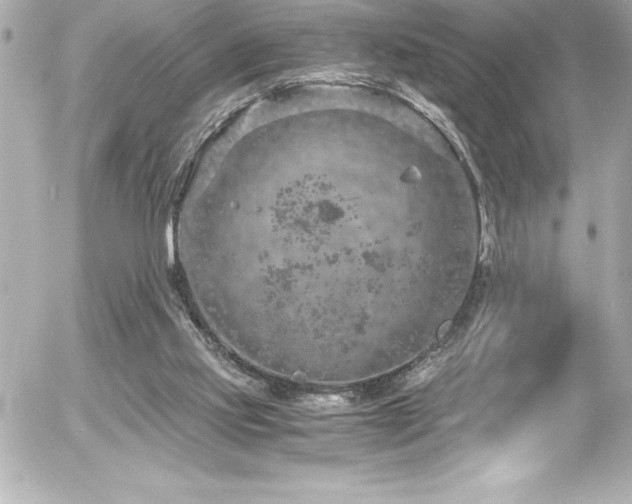 X0000056000061200508191334