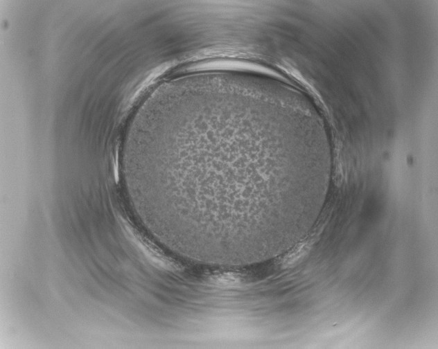 X0000056000062200508191334