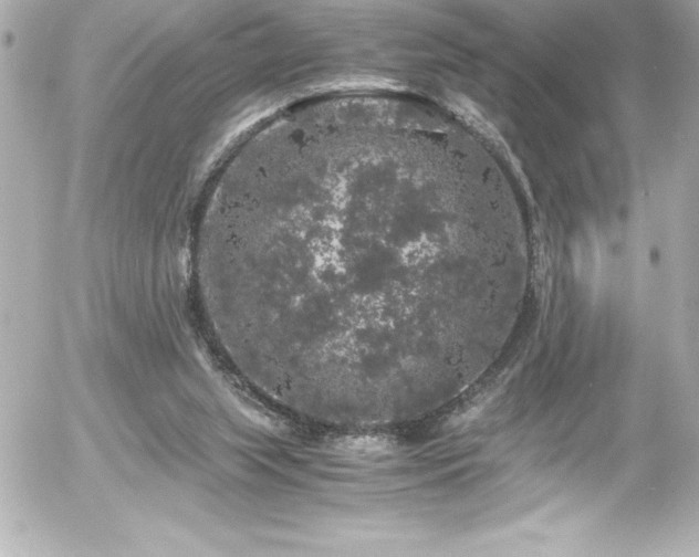 X0000056000063200508191334