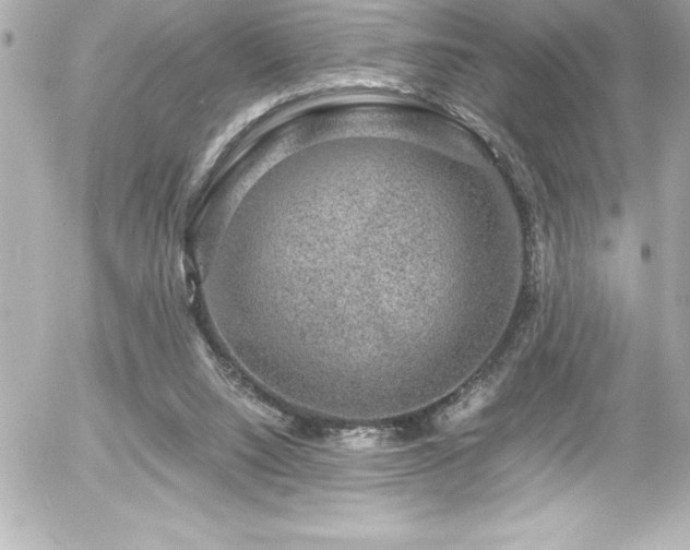 X0000056000064200508191334