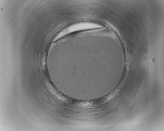 X0000056000065200508191334