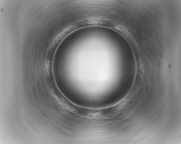 X0000056000066200508191334