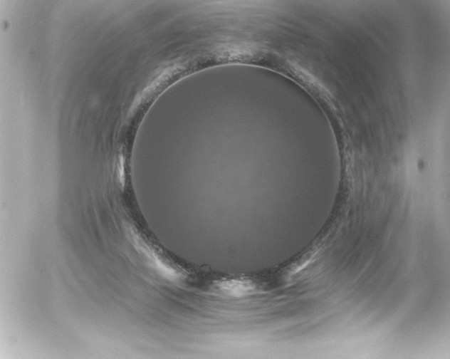 X0000056000067200508191334