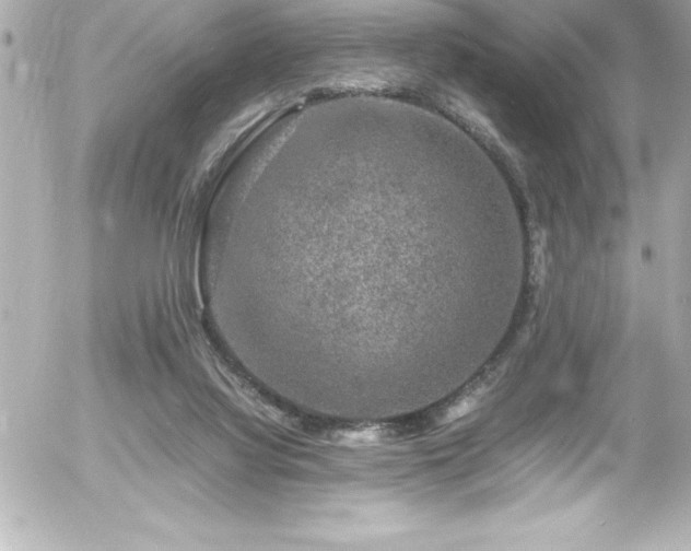 X0000056000068200508191334