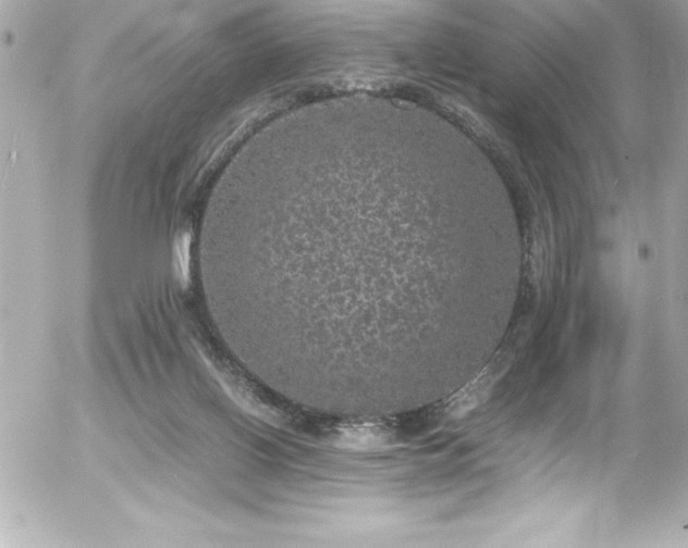 X0000056000070200508191334