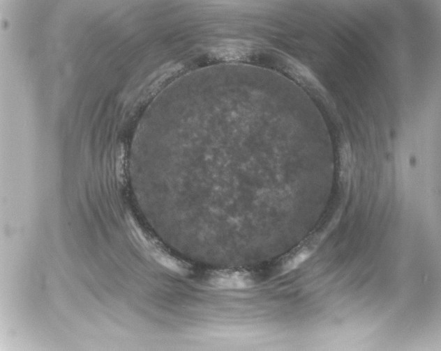 X0000056000073200508191334