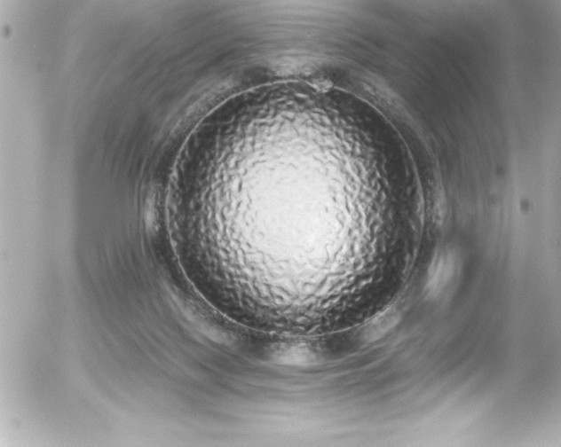 X0000056000074200508191334