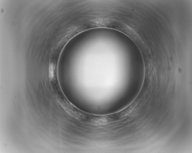 X0000056000075200508191334