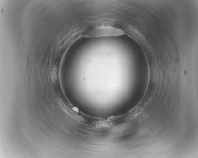 X0000056000077200508191334