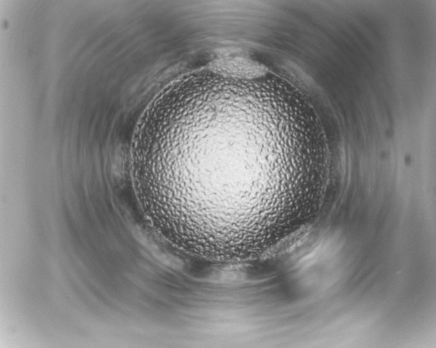 X0000056000078200508191334